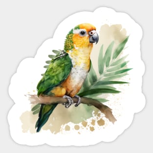 A nice white bellied caique Sticker